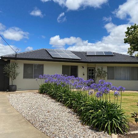 Para House, Tanunda. In The Heart Of The Barossa Valley!. Villa ภายนอก รูปภาพ